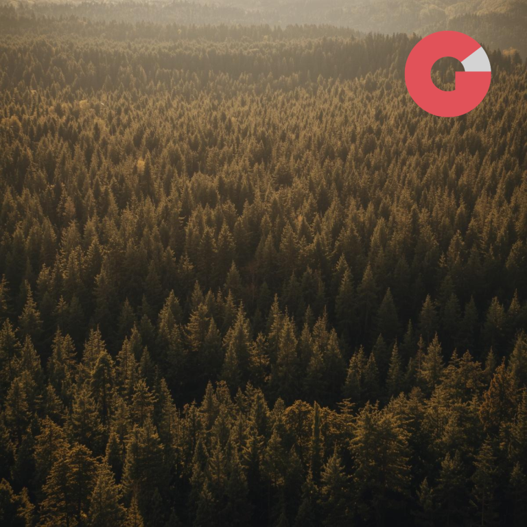Skog 1 Gitter (4)